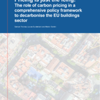 Pricing is just the icing (The role of carbon pricing in a comprehensive policy framework to decarbonise the EU buildings sector)