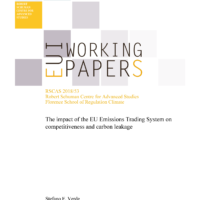The impact of the EU Emissions Trading System on competitiveness and carbon leakage